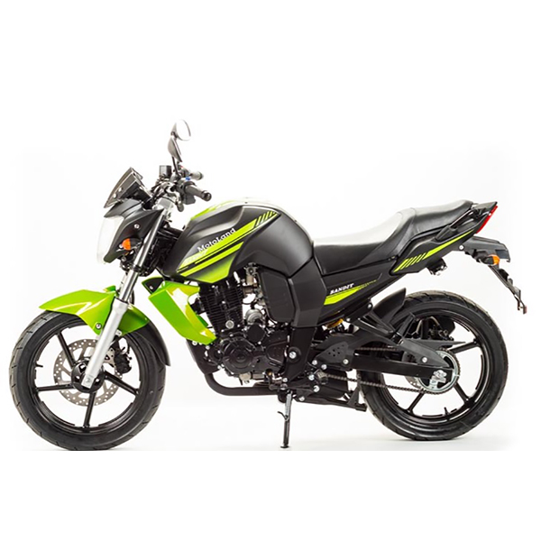 Мотоцикл MotoLand BANDIT 250 (зеленый)